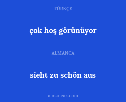 çok hoş görünüyor - sieht zu schön aus