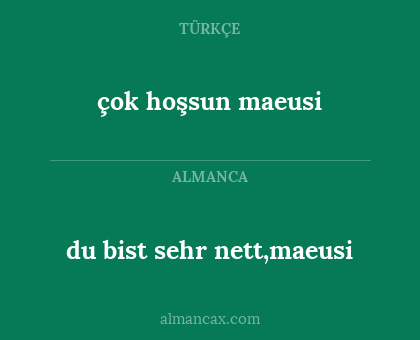 du bist sehr nett,maeusi - çok hoşsun maeusi