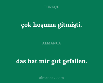çok hoşuma gitmişti. - das hat mir gut gefallen.