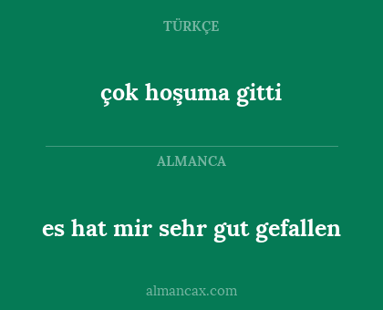 çok hoşuma gitti - es hat mir sehr gut gefallen