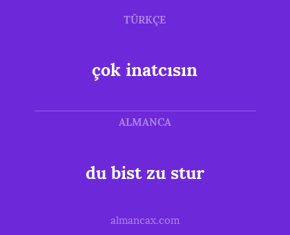 du bist zu stur - çok inatcısın