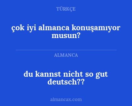 du kannst nicht so gut deutsch?? - çok iyi almanca konuşamıyor musun?
