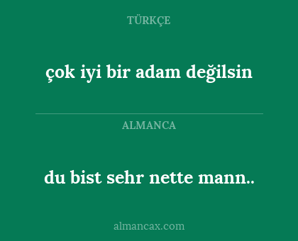 du bist sehr nette mann.. - çok iyi bir adam değilsin