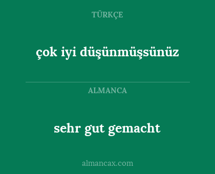 çok iyi düşünmüşsünüz - sehr gut gemacht