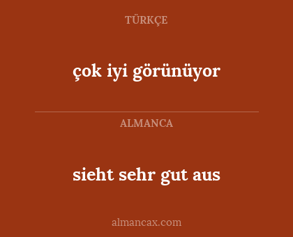 sieht sehr gut aus - çok iyi görünüyor