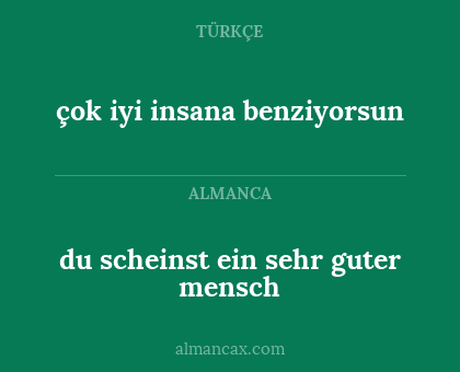 du scheinst ein sehr guter mensch - çok iyi insana benziyorsun