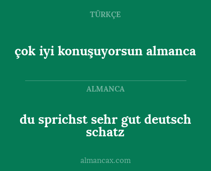 du sprichst sehr gut deutsch schatz - çok iyi konuşuyorsun almanca