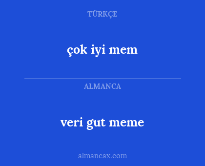 veri gut meme - çok iyi mem