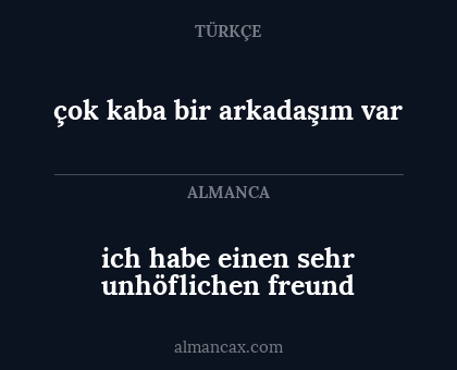 ich habe einen sehr unhöflichen freund - çok kaba bir arkadaşım var