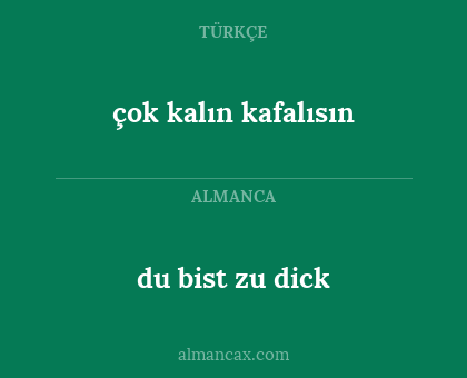 çok kalın kafalısın - du bist zu dick