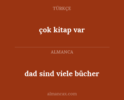 çok kitap var - dad sind viele bücher