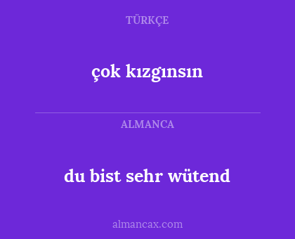 du bist sehr wütend - çok kızgınsın