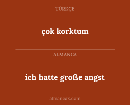 çok korktum - ich hatte große angst