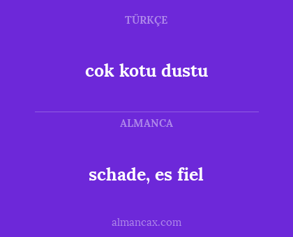 schade, es fiel - cok kotu dustu