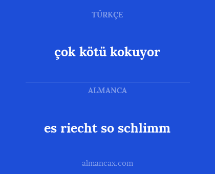 es riecht so schlimm - çok kötü kokuyor