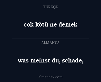 was meinst du, schade, - cok kötü ne demek