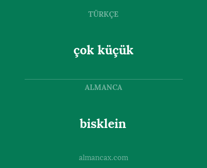 çok küçük - bisklein