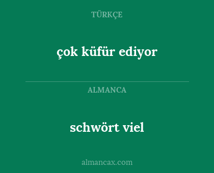 schwört viel - çok küfür ediyor