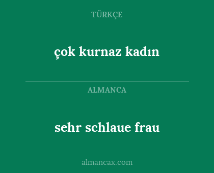 sehr schlaue frau - çok kurnaz kadın