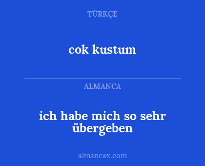 ich habe mich so sehr übergeben - cok kustum