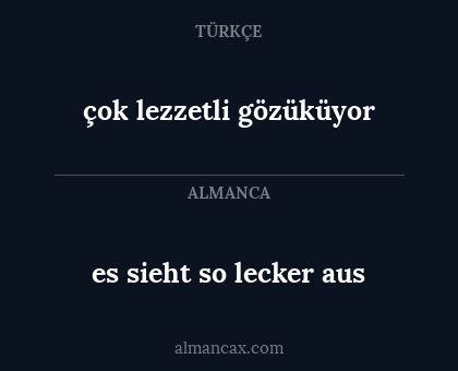 çok lezzetli gözüküyor - es sieht so lecker aus