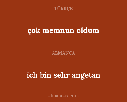 çok memnun oldum - ich bin sehr angetan