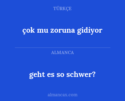 geht es so schwer? - çok mu zoruna gidiyor