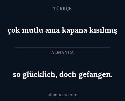 çok mutlu ama kapana kısılmış - so glücklich, doch gefangen.