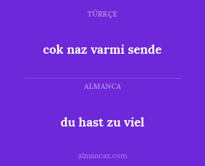cok naz varmi sende - du hast zu viel