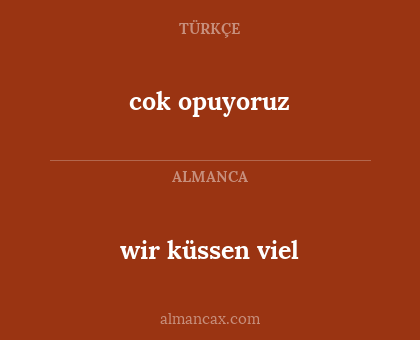 cok opuyoruz - wir küssen viel