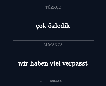 wir haben viel verpasst - çok özledik