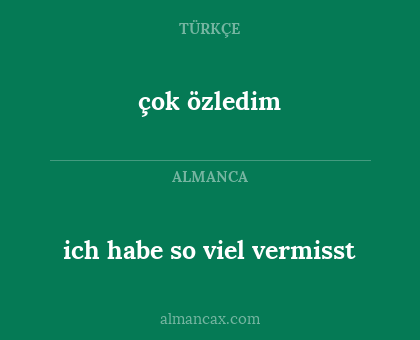 çok özledim - ich habe so viel vermisst