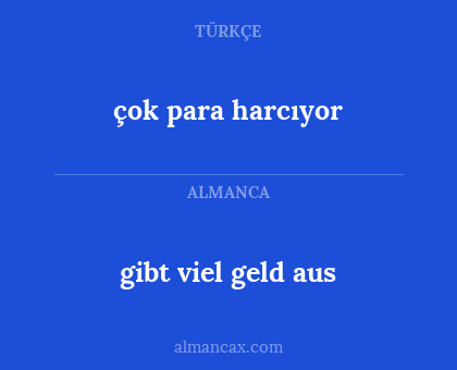 gibt viel geld aus - çok para harcıyor