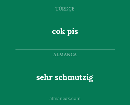 sehr schmutzig - cok pis
