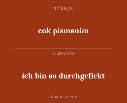 ich bin so durchgefickt - cok pismanim