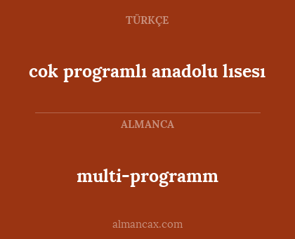 multi-programm - cok programlı anadolu lısesı