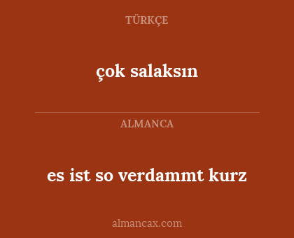 çok salaksın - es ist so verdammt kurz