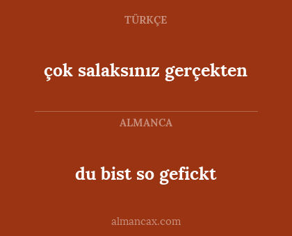 çok salaksınız gerçekten - du bist so gefickt