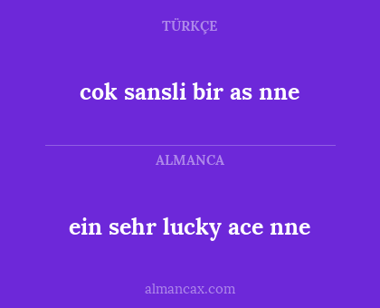cok sansli bir as nne - ein sehr lucky ace nne