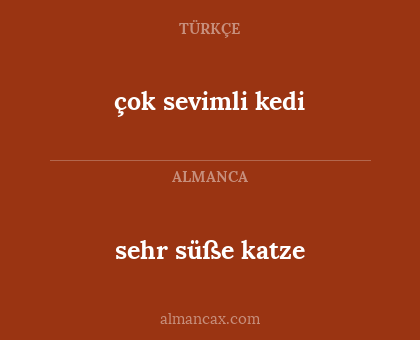 çok sevimli kedi - sehr süße katze