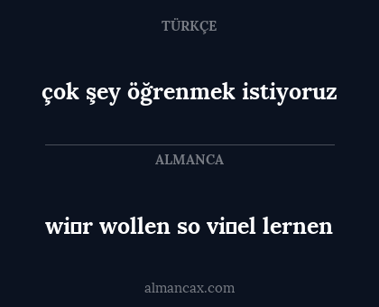 çok şey öğrenmek istiyoruz - wi̇r wollen so vi̇el lernen