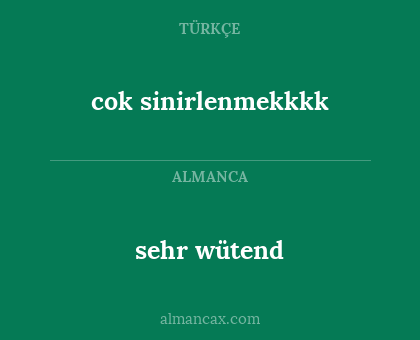 cok sinirlenmekkkk - sehr wütend