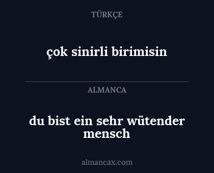 çok sinirli birimisin - du bist ein sehr wütender mensch