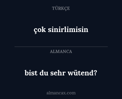 çok sinirlimisin - bist du sehr wütend?