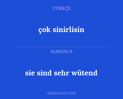 çok sinirlisin - sie sind sehr wütend