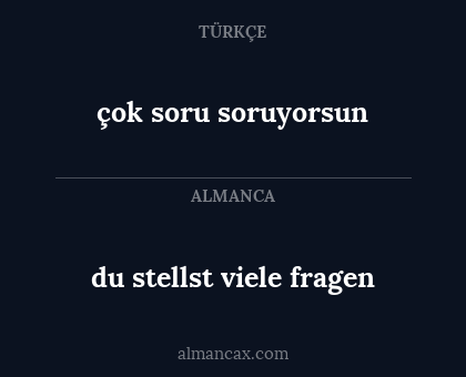 çok soru soruyorsun - du stellst viele fragen