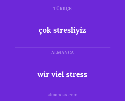 çok stresliyiz - wir viel stress