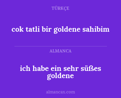 ich habe ein sehr süßes goldene - cok tatli bir goldene sahibim