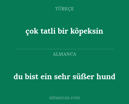 çok tatli bir köpeksin - du bist ein sehr süßer hund