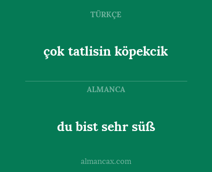 du bist sehr süß - çok tatlisin köpekcik